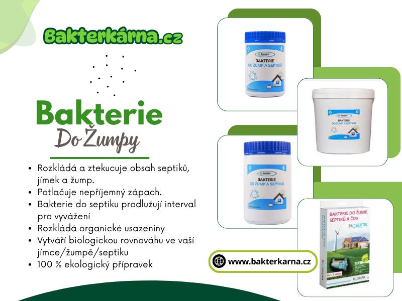 Bakterie Do Žumpy