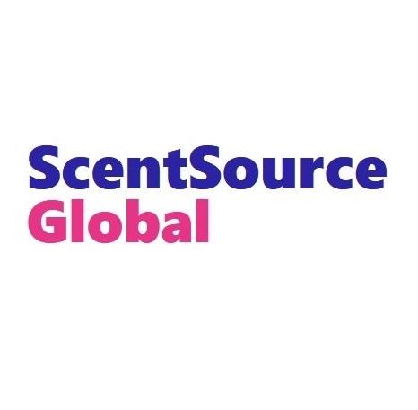 Trust Wholesale Perfume Supplier In USA
