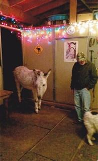 Christmas at Canuch Ranch