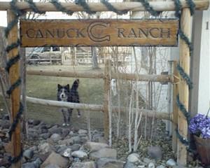 Canuck Ranch